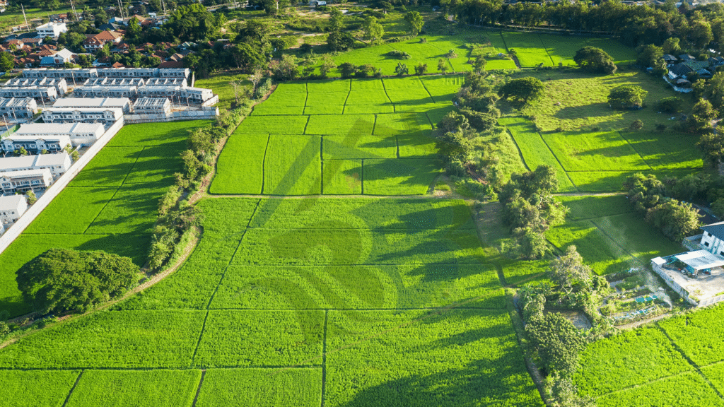 Brajbhoomi Realty plots in Vrindavan – trusted real estate company for buying plots