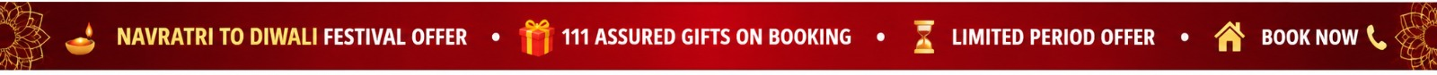 Festival Offer